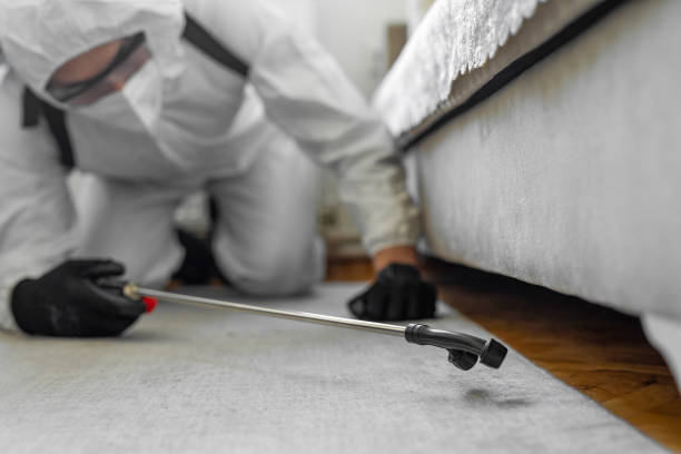 Professional Ant Control technician working in White Meadow Lake, NJ